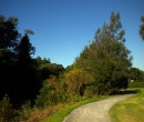 Cycling by Byarong Creek Figtree