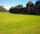 Roy Johanson Park Figtree