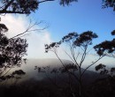 Looking east towards Mount Keira