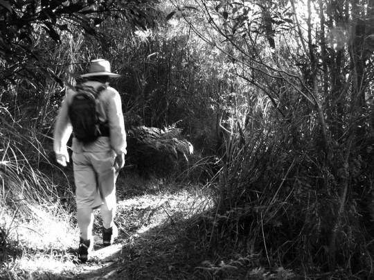 Darcy in black and white on the track