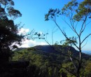 Looking east towards Mount Keira