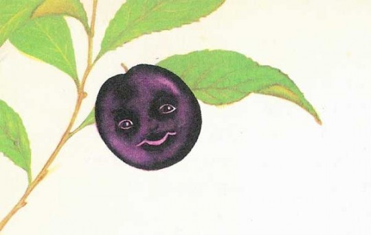 plum