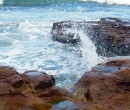 Rock Platform at Bulli Point