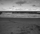 Pacific Ocean off Bulli Beach High Contrast Monochrome