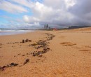 Tidal mark on the shore