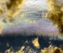 Iridescent clouds over the Illawarra